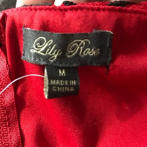 Lily Rose Red/Black Floral Belted Lace Dress Sz M - Picture 5 of 5